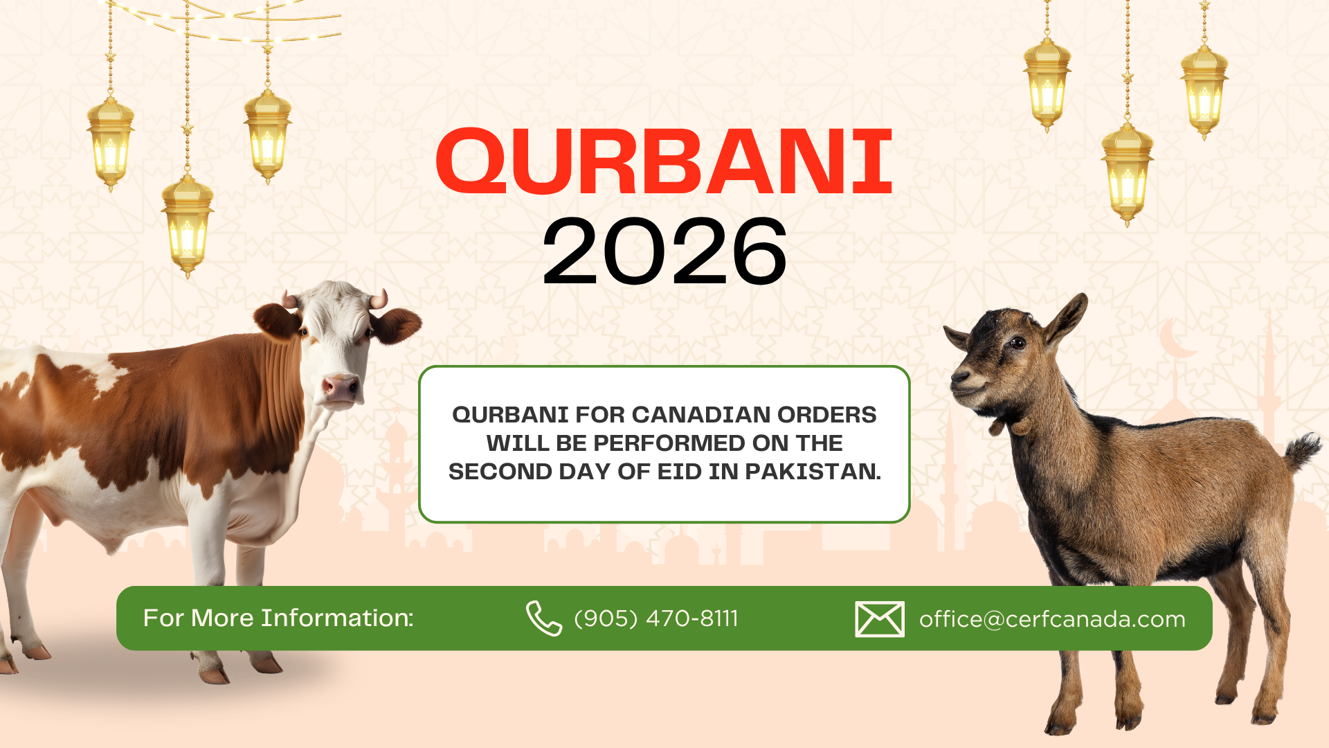 Qurbani-for-Canadian-on-the-second-day-of-Eid-in-Pakistan